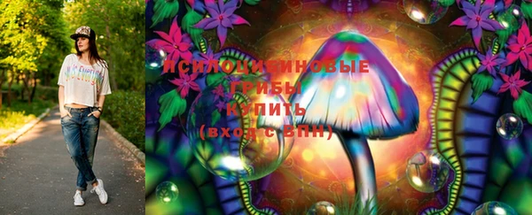 тгк Богданович