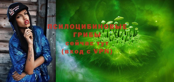 меф Богородицк