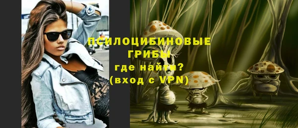 меф Богородицк